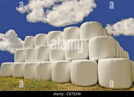 Hay Bales in Plastic Wrap:  Hay bales stacked outdoors wear white plastic wrapping as protection against the weather. Stock Photo
