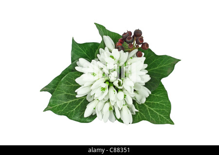 A little bouquet of snowdrops with ivy leaves isolated on white Stock Photo