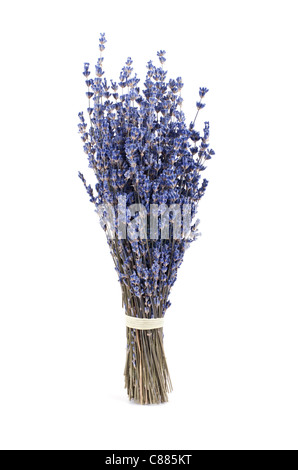 bunch of dry lavender isolated on white background Stock Photo