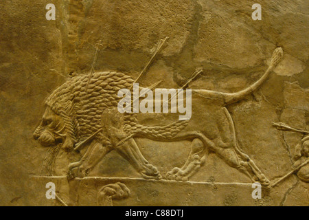 Assyrian relief of the Royal lion hunt of King Ashurbanipal seen at the British Museum in London, England, UK. Stock Photo