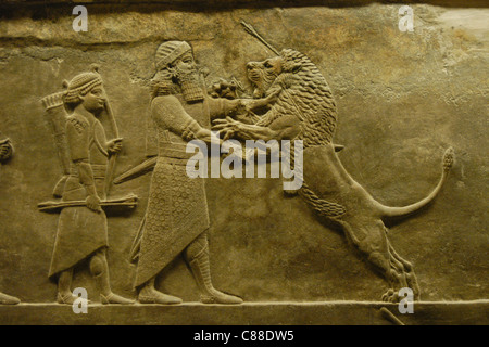 Assyrian relief of the Royal lion hunt of King Ashurbanipal seen at the British Museum in London, England, UK. Stock Photo
