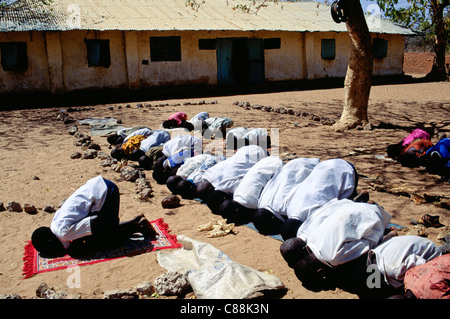 The Gambia, Africa. Muslim schoolchildren praying outside the school. Stock Photo