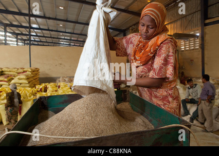 A woman winnows sesame seed in a machine at a seed processing warehouse in Dar es Salaam, Tanzania, East Africa. Stock Photo