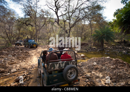 Tour groups of eco-tourists in Maruti Suzuki Gypsy King 4x4 vehicle at waterhole in Ranthambhore National Park, Rajasthan, India Stock Photo