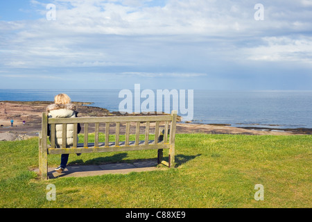 Solitary woman sitting on a bench overlooking the beach. Seahouses, Northumberland Coast, England. Stock Photo