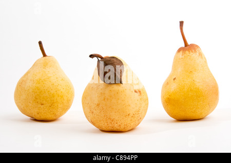 Yellow pear fruit over a white background Stock Photo