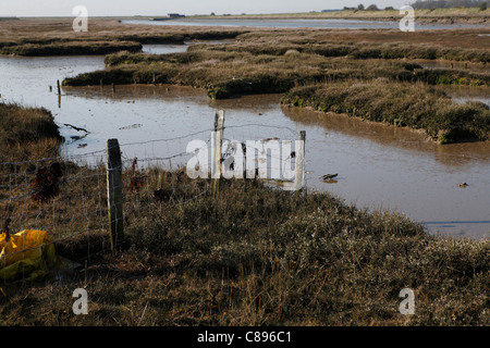 The River Butley, a tributary of the River Ore, Suffolk Coast Heaths
