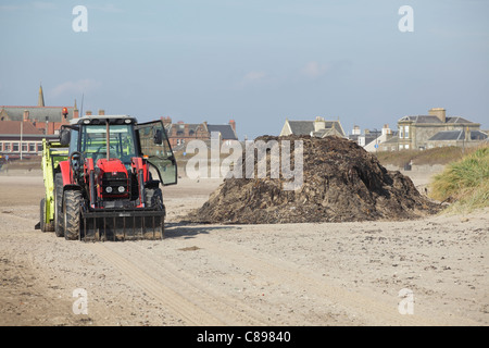 Debris being cleared with a tractor on South Beach in the seaside town of Troon, Ayrshire, Scotland, UK Stock Photo