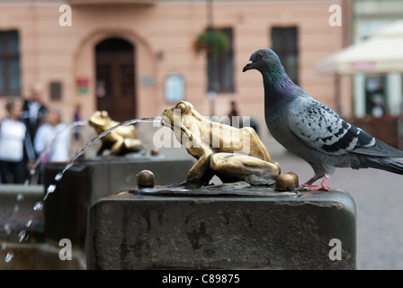 Golden Frog fountain and a thirsty pigeon approaching to drink from the frogs mouth Stock Photo