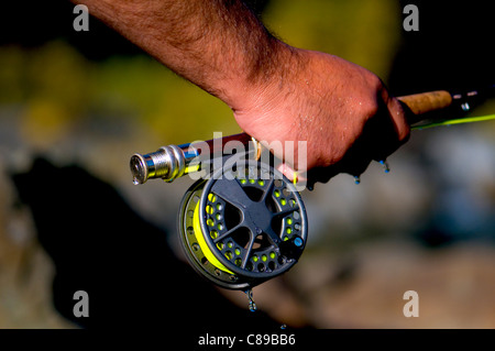 Male, man holding fly fishing rod and reel, water dripping, on sunny day Stock Photo
