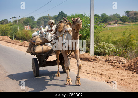 Indian man drives camel cart in Sawai Madhopur in Rajasthan, Northern India Stock Photo