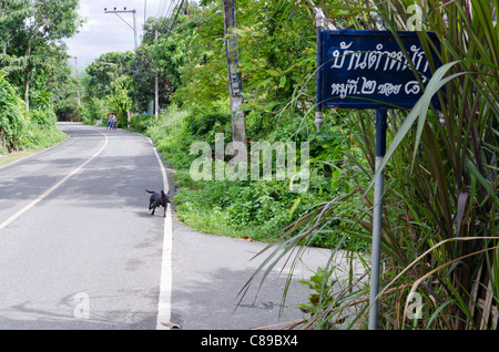 Dark blue street sign in Thai language on lush rural road with trotting black dog in countryside south of Chiang Mai Thailand Stock Photo