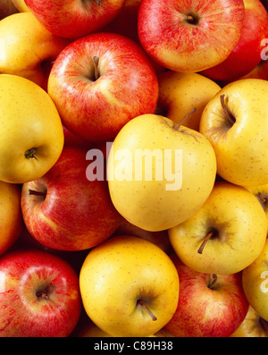 Yellow and red apples Stock Photo