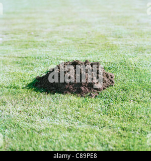 Mole hill Stock Photo