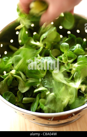Watercress in colander Stock Photo