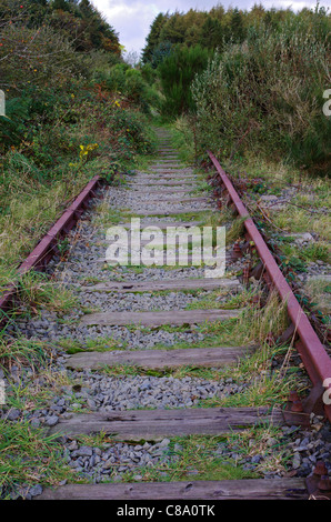 Disused railway line becoming overgrown with vegetation, Anglesey, Wales, UK. Stock Photo