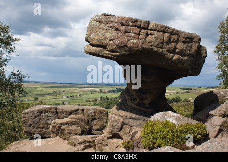 Druid's Writing Desk at Brimham Rocks above Nidderdale in Yorkshire. These gritstone outcrops are popular with rock climbers. Stock Photo