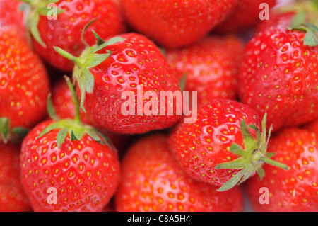 ripe strawberries close - up with shallow depth of field Stock Photo