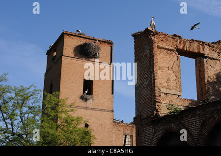 Storks. Archbishop's Palace of ALCALA DE HENARES . Community of Madrid .SPAIN Stock Photo