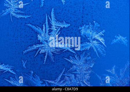 Ice flowers on a window Stock Photo