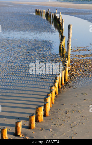 Patterns and reflections of wooden groynes West Wittering's sandy beach at low tide, Nr. Chichester, West Sussex, England, UK Stock Photo