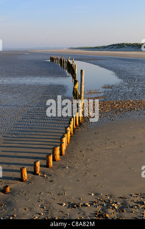 Patterns and reflections of wooden groynes West Wittering's sandy beach at low tide, Nr. Chichester, West Sussex, England, UK Stock Photo