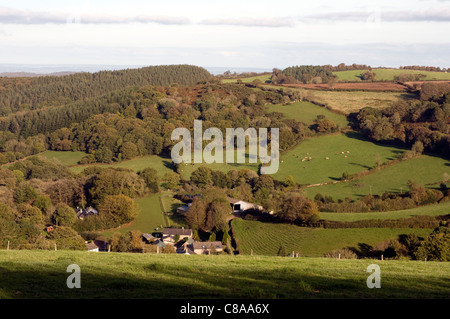 Rolling devon fields near Moretonhampstead on the slopes of Dartmoor, Devon,A view across farmland and moorland from Mardon Stock Photo