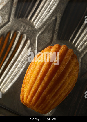 Madeleine in cooking mould Stock Photo