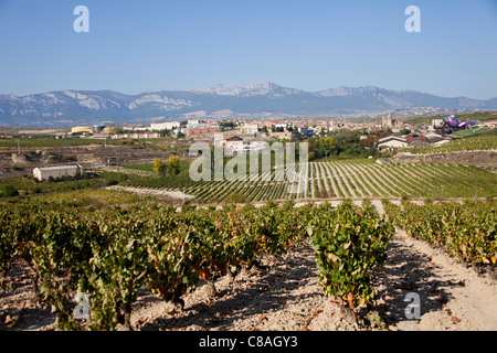Marqués de Riscal Winery  & Hotel with vineyards, Elciego, Rioja, Spain 110803 Spain Stock Photo
