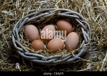 Hen's eggs clutch in a basket in farm shop display situation Stock Photo