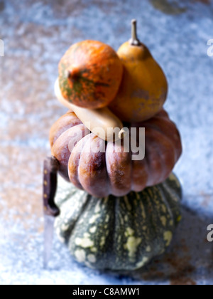 Selection of pumpkins and squashes Stock Photo