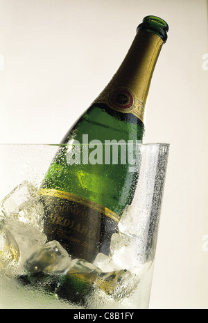 bottle of champagne in ice bucket Stock Photo