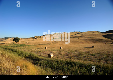 Italy, Basilicata, countryside, Sauro valley Stock Photo