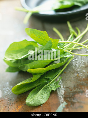 Fresh spinach leaves Stock Photo