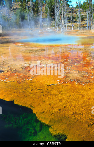 I found this area near Old Faithful very interesting.  If you notice in the lower left, you can just see bubbles escaping from the depths of the spring in the foreground.  I would have loved to spend more time shooting that spring, but we humans in our infinite wisdom have railings built basically on top of it. :)  Looking further into the image you see the steaming spring with the blue color.  As I understand the scale, that colors means the water is very near or at the boiling point for this elevation (around 185F).  Yellowstone National Park is one of the most unique places I've ever visite Stock Photo