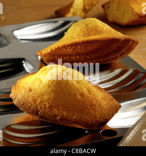 madeleine sponge buns Stock Photo