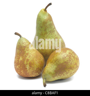 conference pears Stock Photo