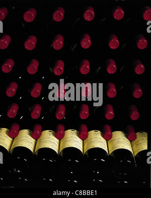 bottles of wine in rack Stock Photo