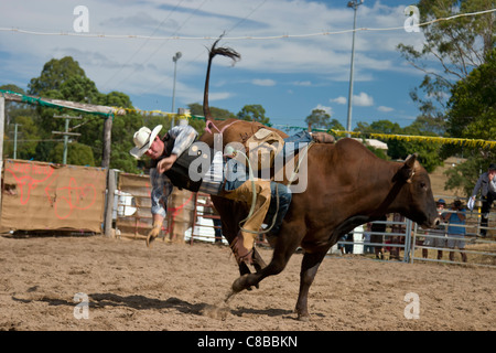 Bull ride at Dayboro country rodeo falling off Stock Photo