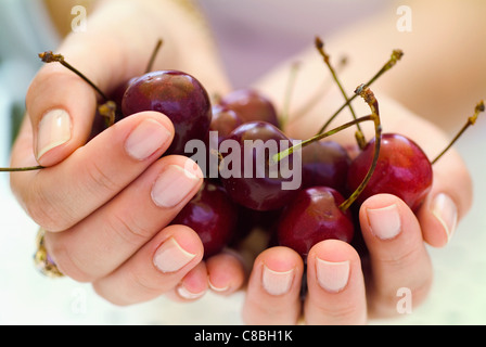 hands holding cherries Stock Photo