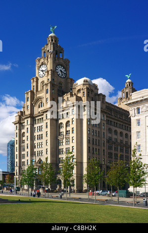 Liver building with the Liver Birds statues, Waterfront, Liverpool One, Liverpool, England, UK, Great Britain Stock Photo