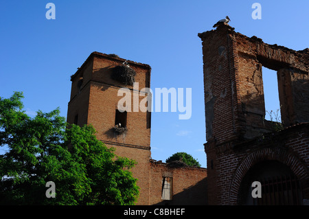 Storks. Archbishop's Palace of ALCALA DE HENARES . Community of Madrid .SPAIN Stock Photo