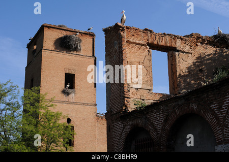 Storks. Archbishop's Palace of ALCALA DE HENARES . Community of Madrid .SPAIN Stock Photo