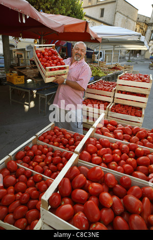 Tomatoes on sale at the street market in Sulmona, Italy. Stock Photo