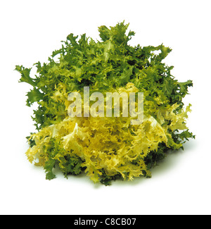Escarole lettuce Stock Photo
