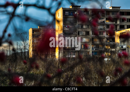 The Gipsy ghetto of Chanov seen through a dog rose bush on outskirts of Most, Czech Republic. Stock Photo