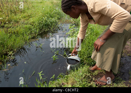 A woman draws water from a small stream in Mongu, Zambia, Southern Africa. Stock Photo