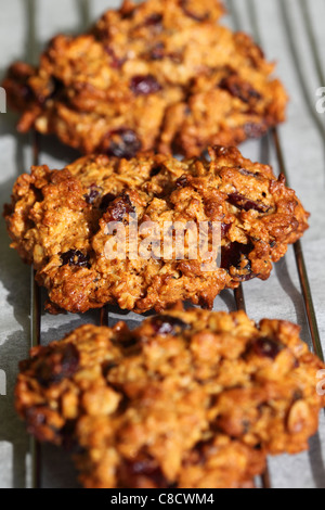 Oatmeal cookies cool on a baking tray after being removed from the oven. Stock Photo