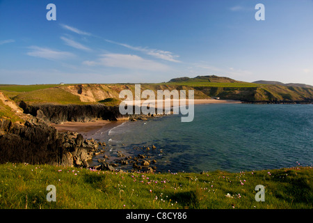 Porth Oer Whistling Sands beach in spring with sea pinks in foreground Near Aberdaron Llyn Peninsula Gwynedd North Wales UK Stock Photo