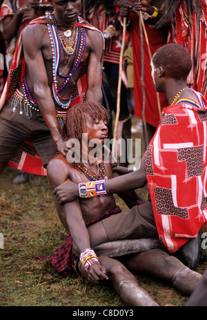 Lolgorian, Kenya. Siria Maasai; Eunoto ceremony; moran in a trance fit. Stock Photo